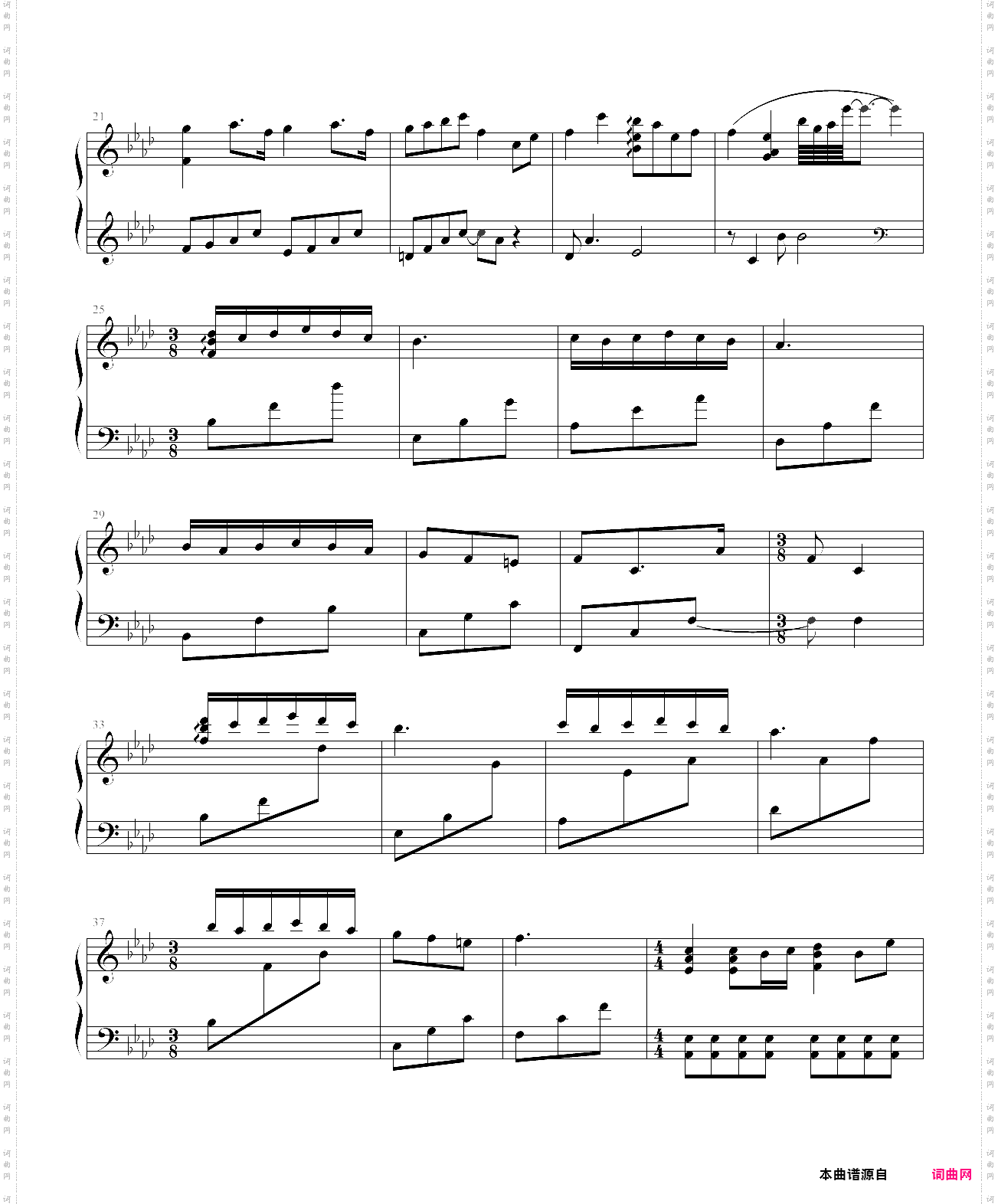 风之韵蕾诺编配版