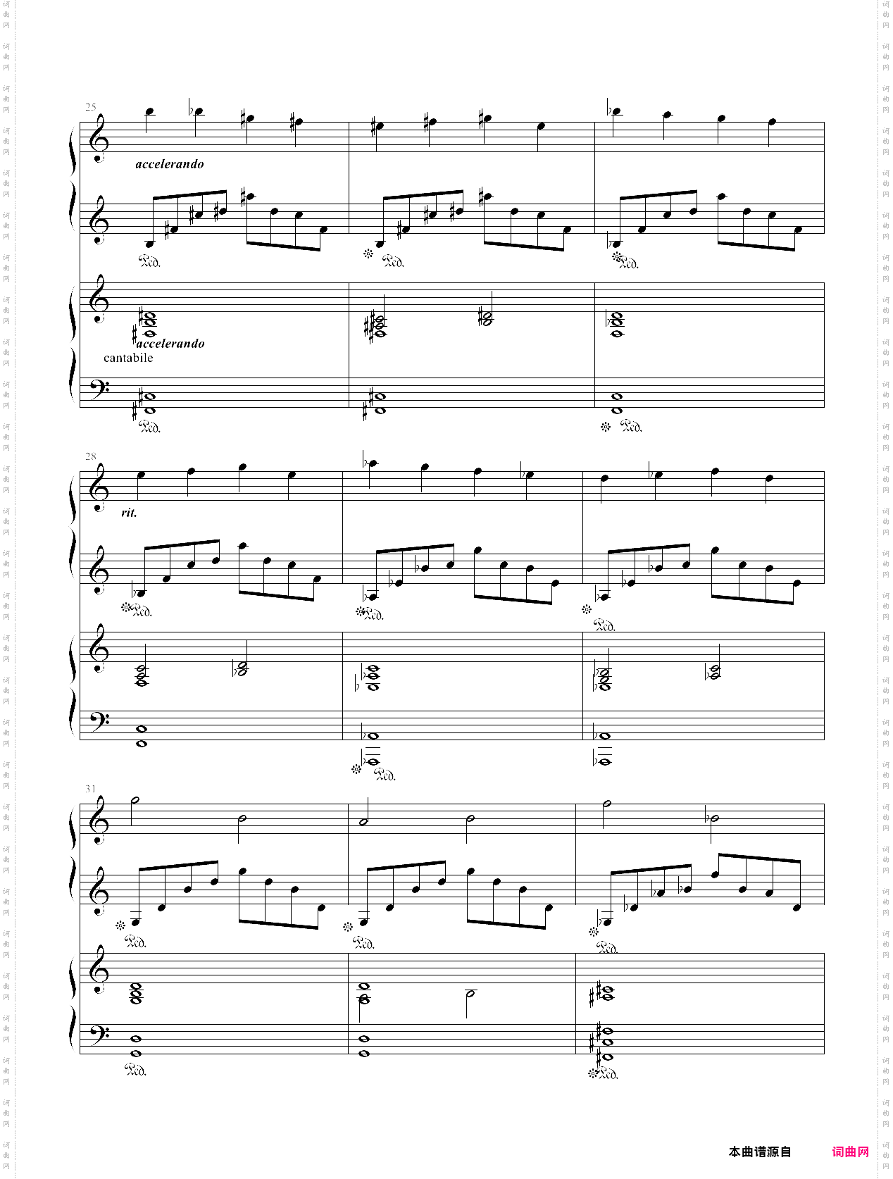 星之卡比 quiet forestp琴