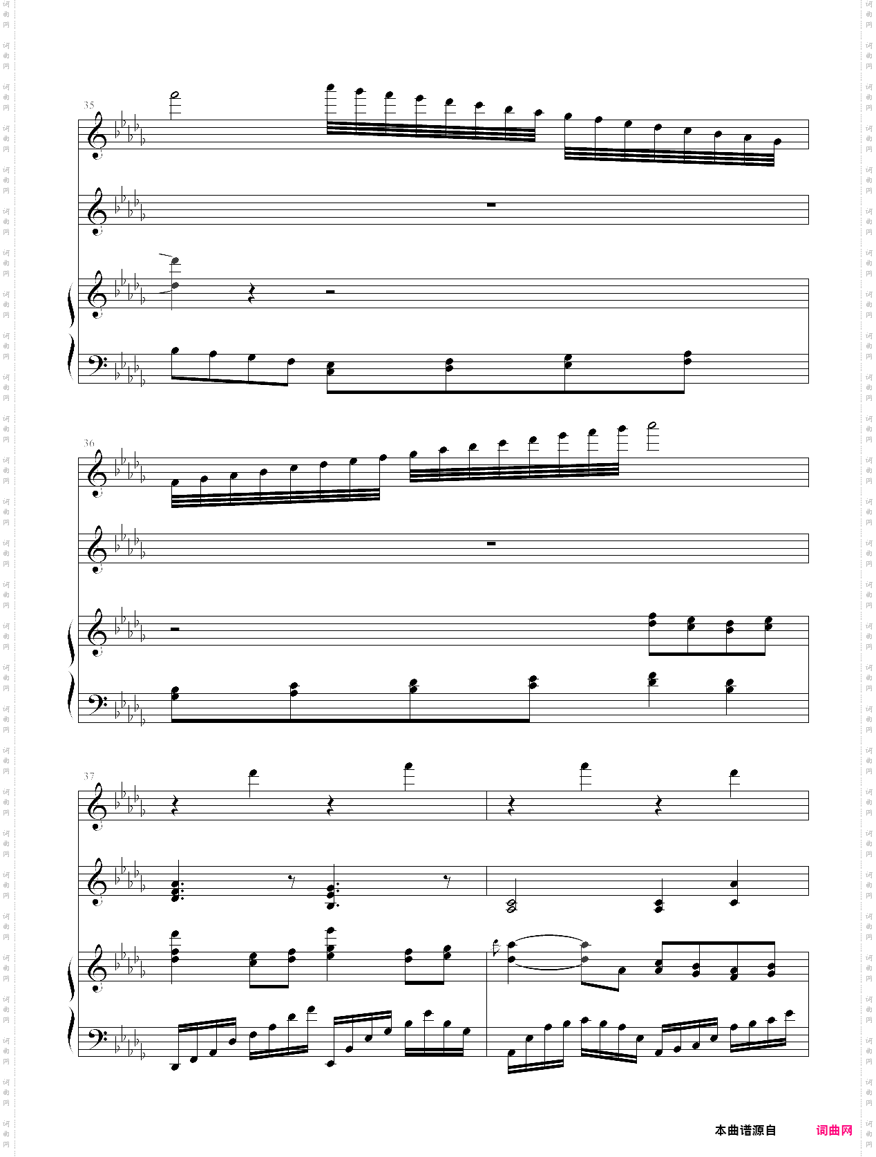 踏秋雨，凝波花