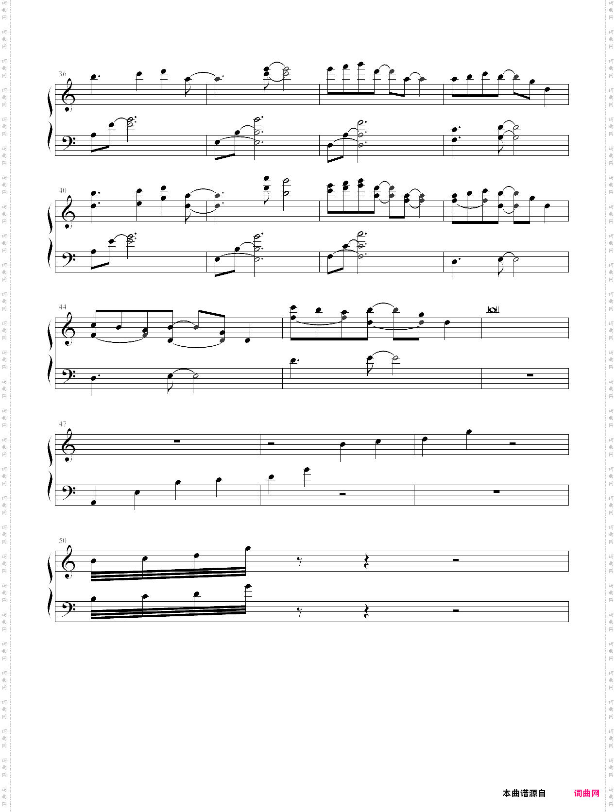 蔷薇少女-孤独な心