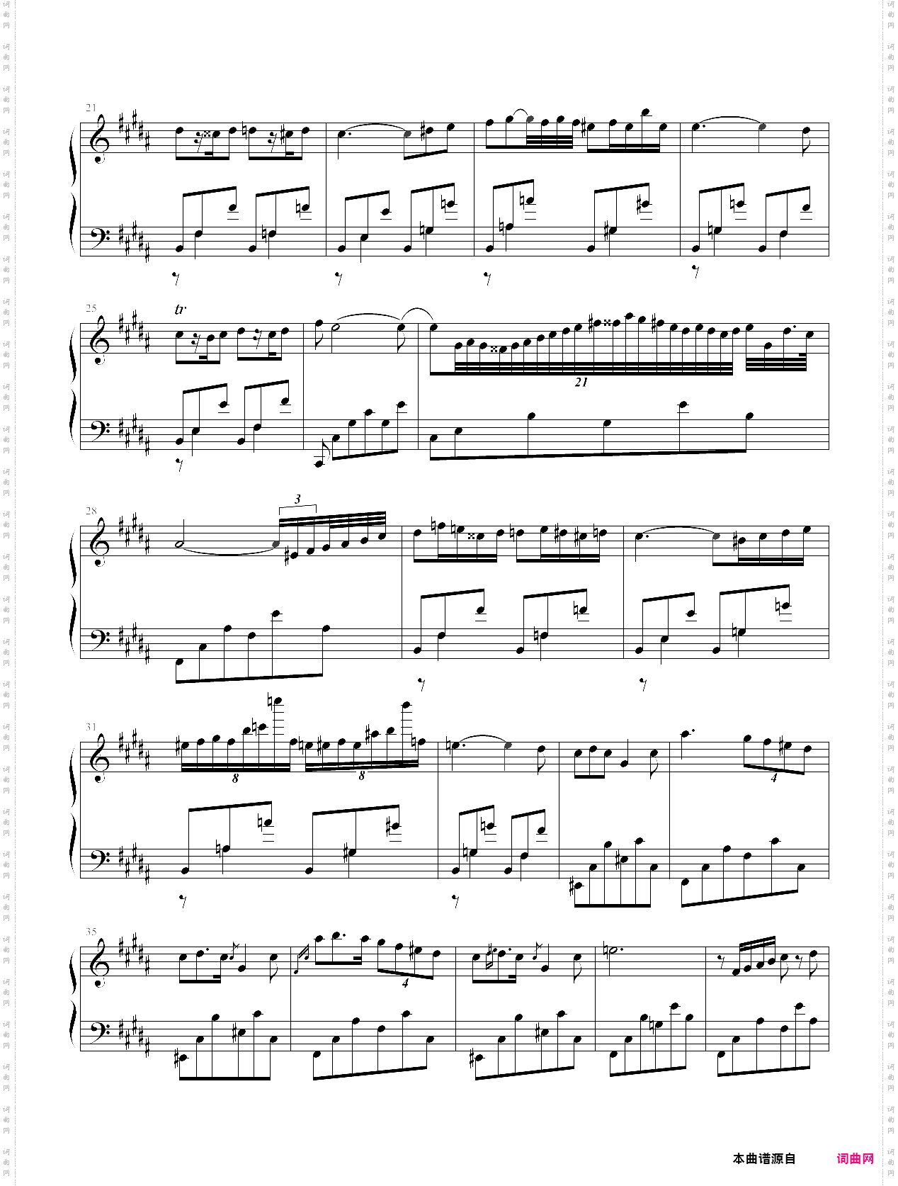 b大调夜曲