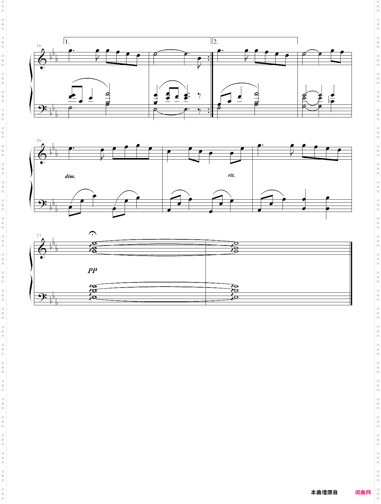 daylight of the evening