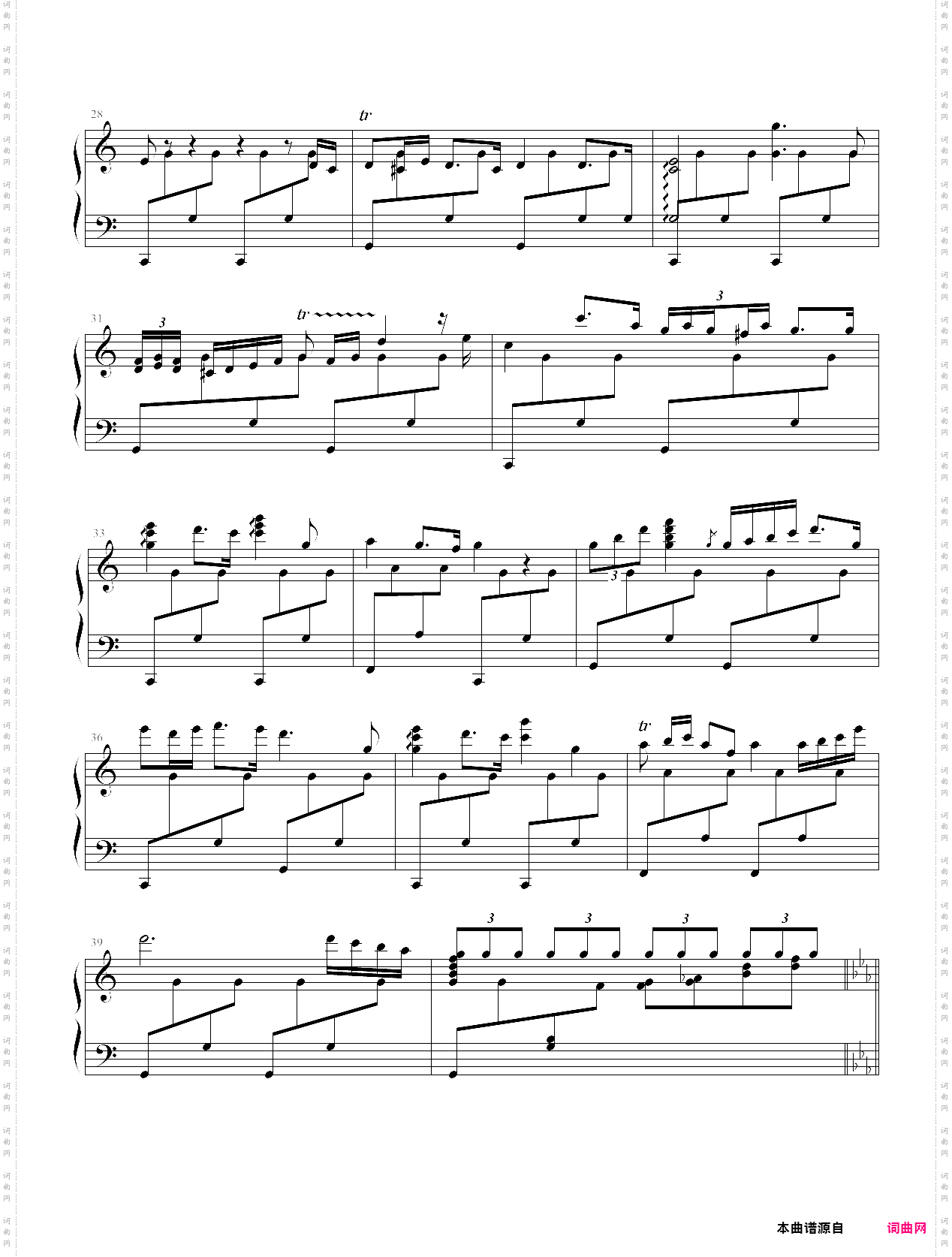 夜曲