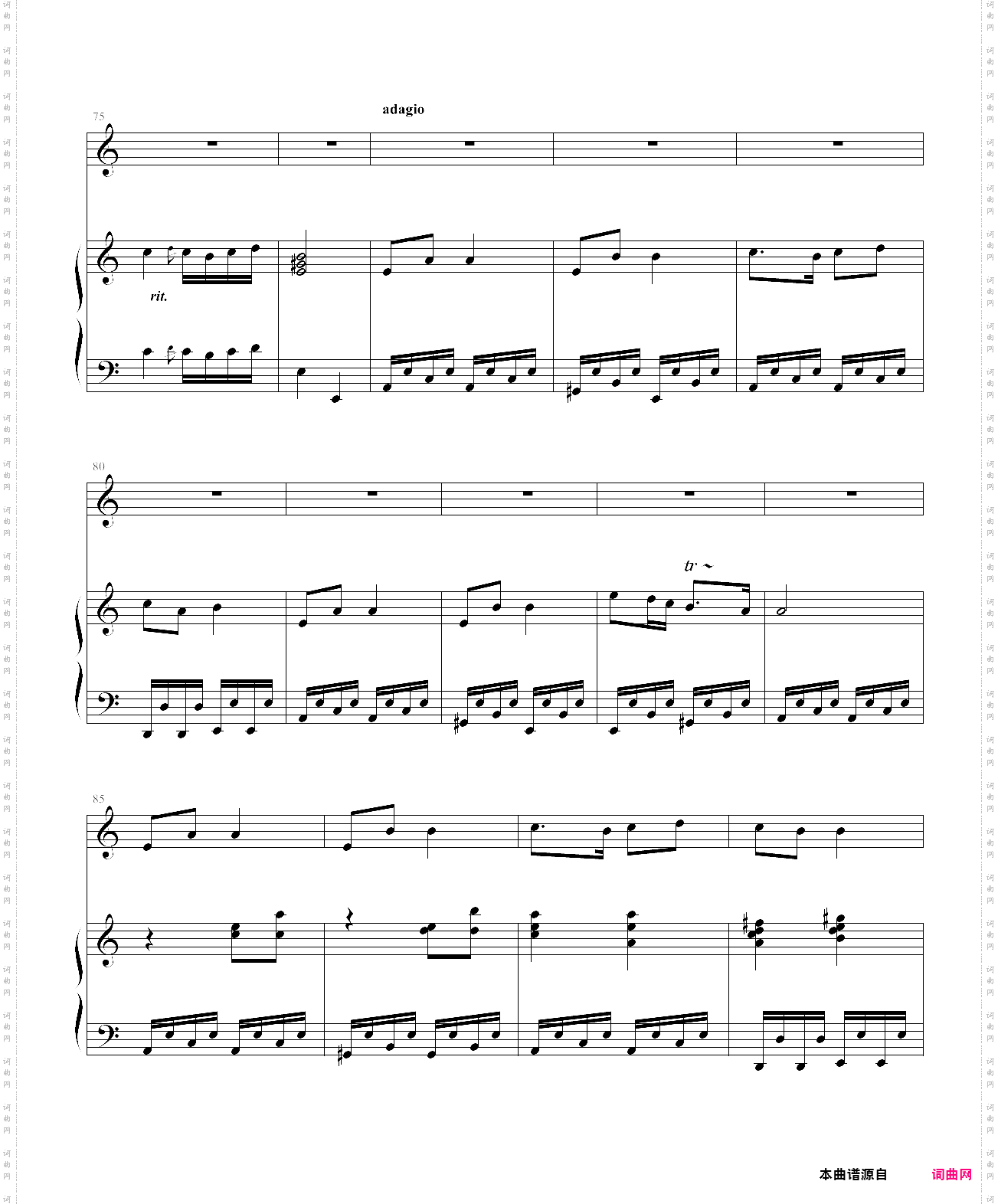 你的眼睛亮晶晶