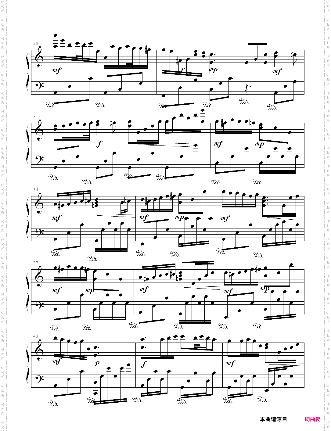 猴子圆舞曲