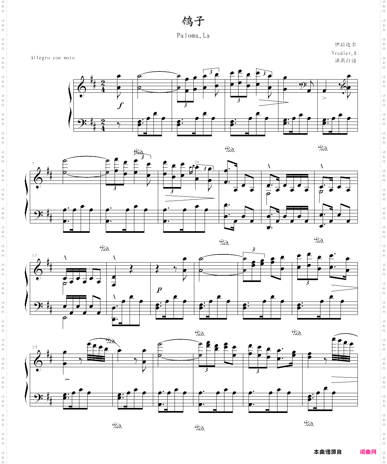 鸽子·la paloma