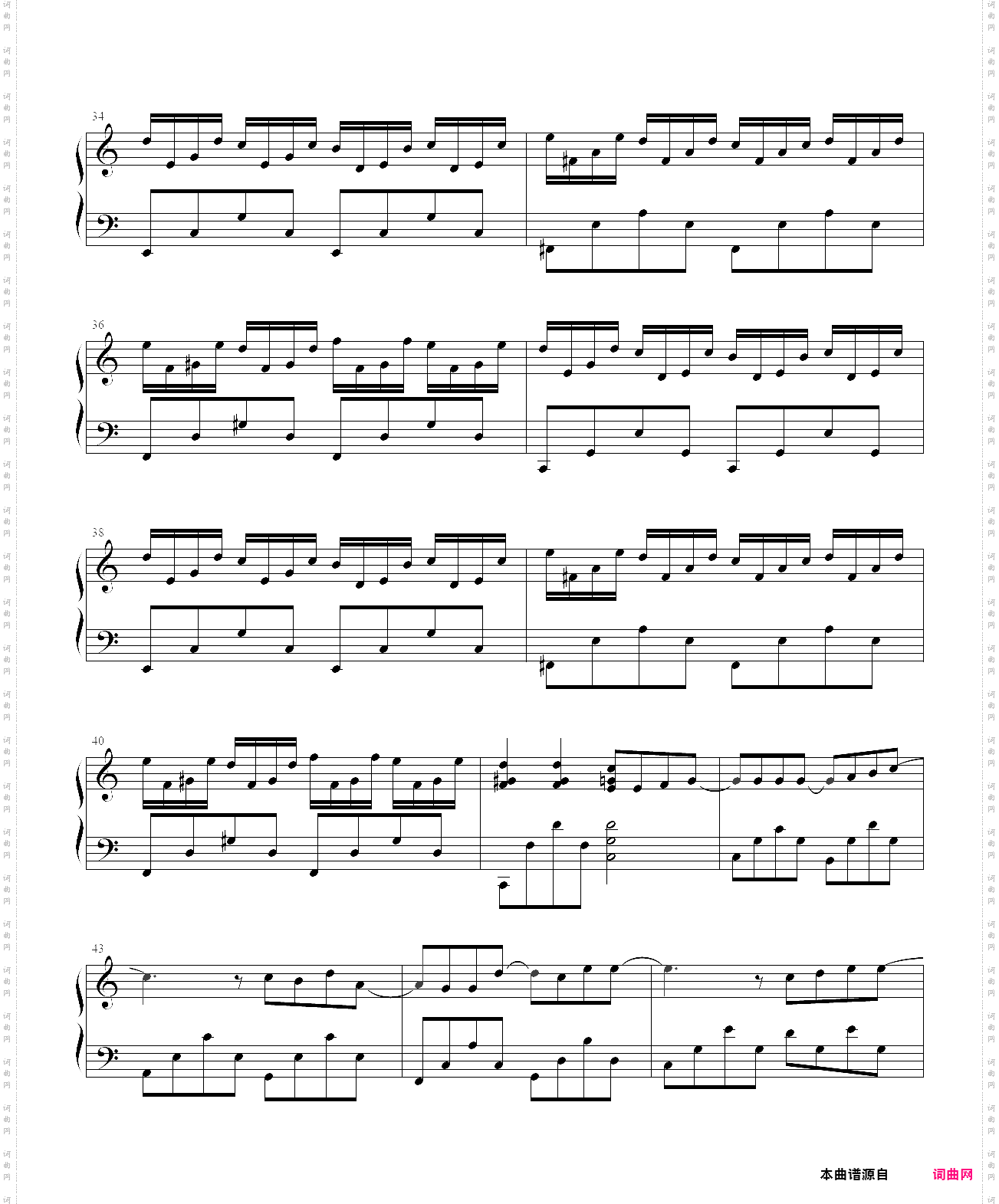 《蒲公英的约定》