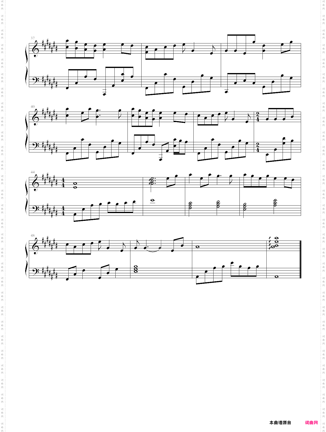 盗将行花粥，马雨阳