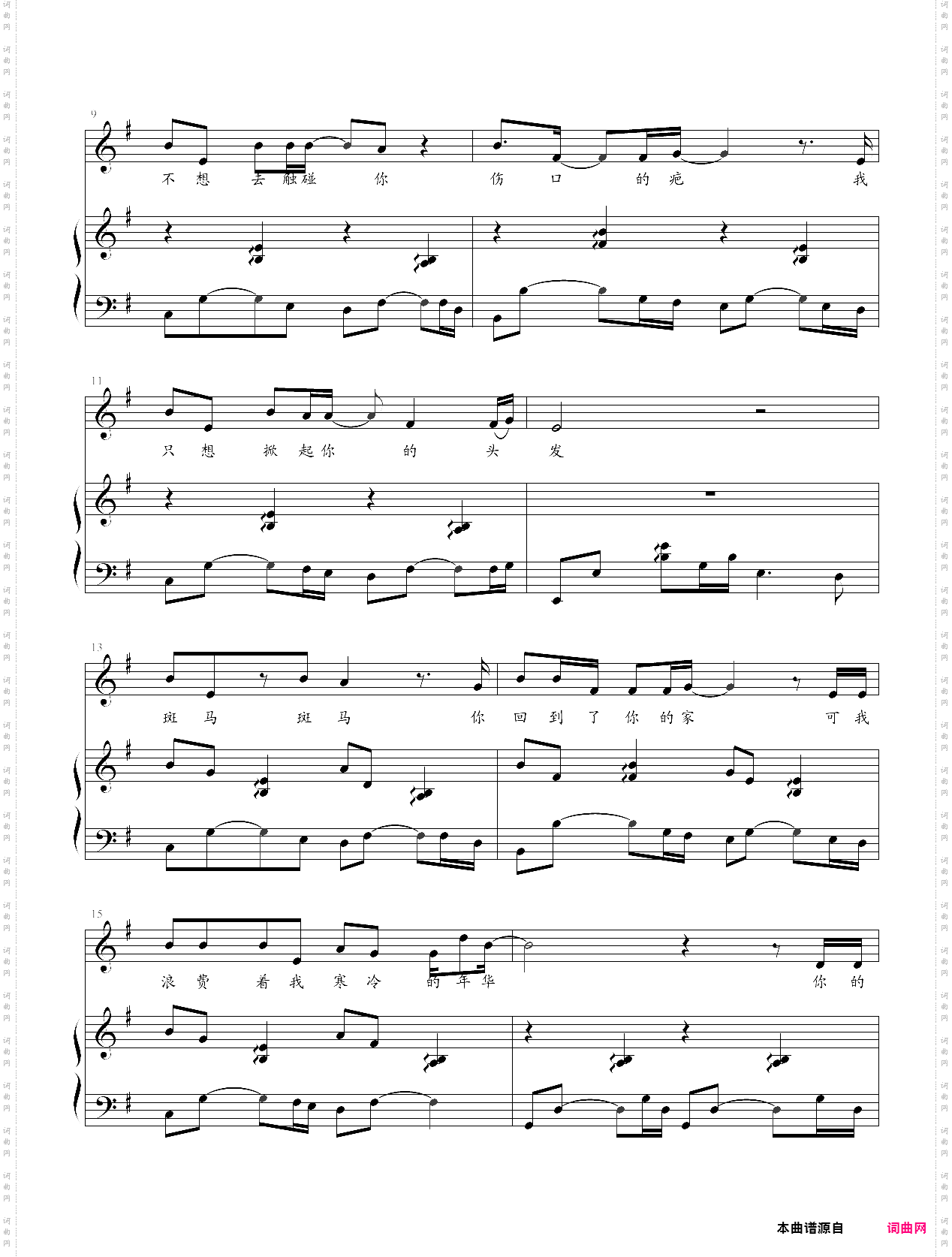 斑马斑马弹唱版