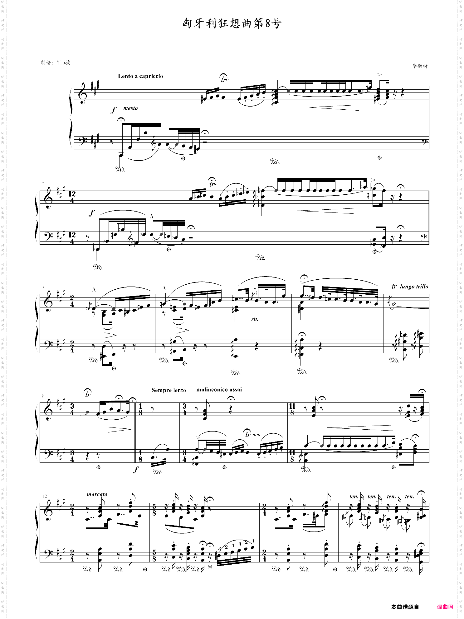 匈牙利狂想曲第8号辉煌明亮的狂想曲，yip骏版