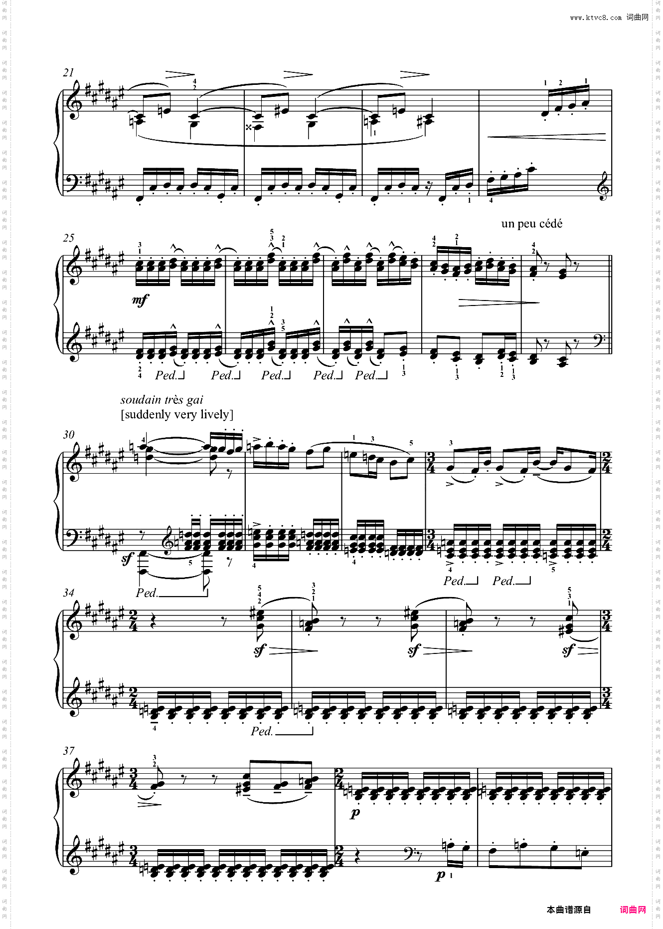 8· 小白驴 伊贝尔