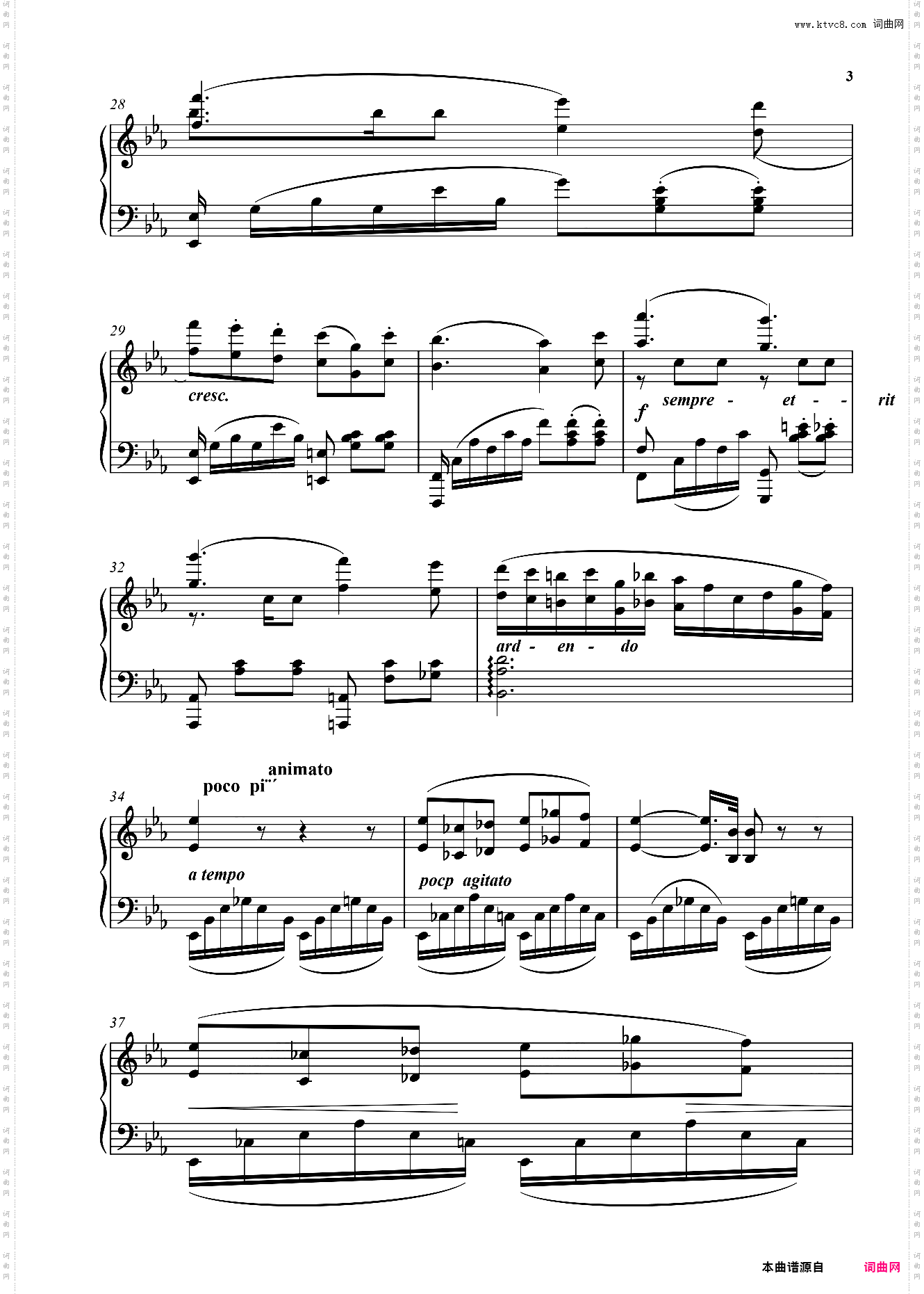 天使小夜曲