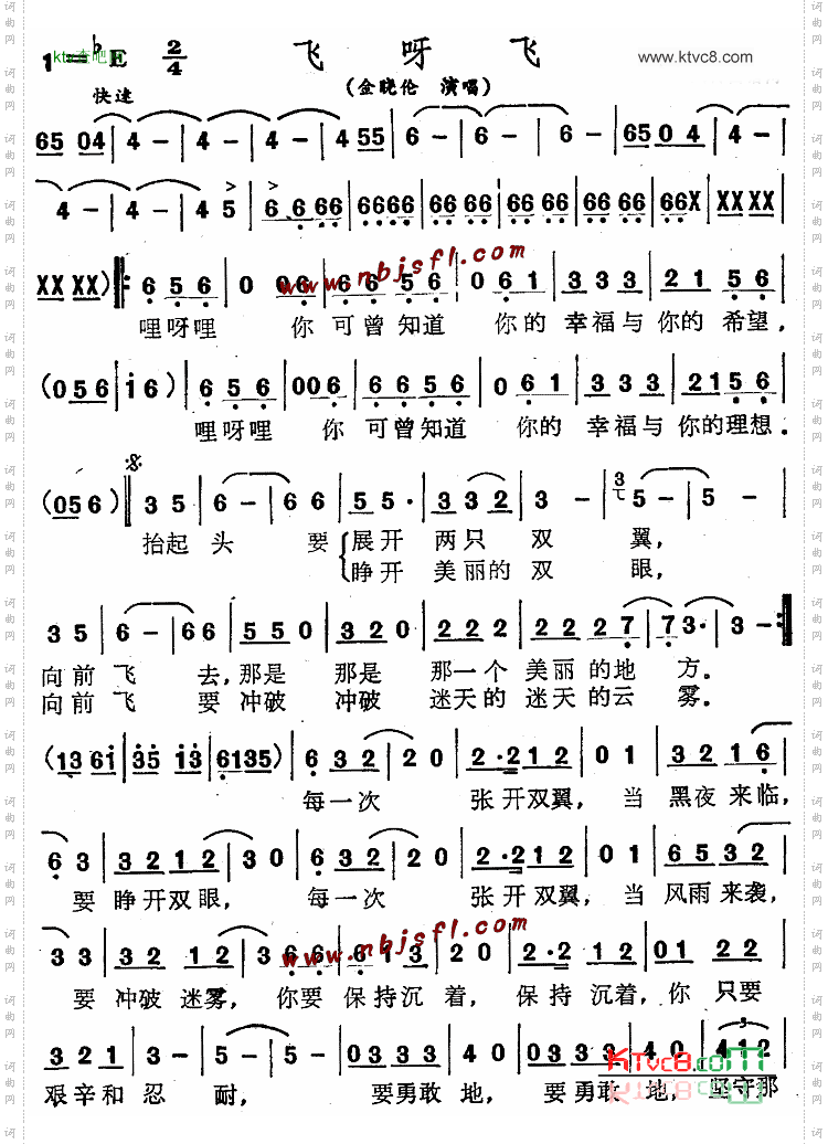 飞呀飞
