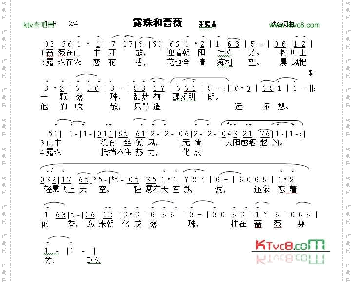 露珠与蔷薇