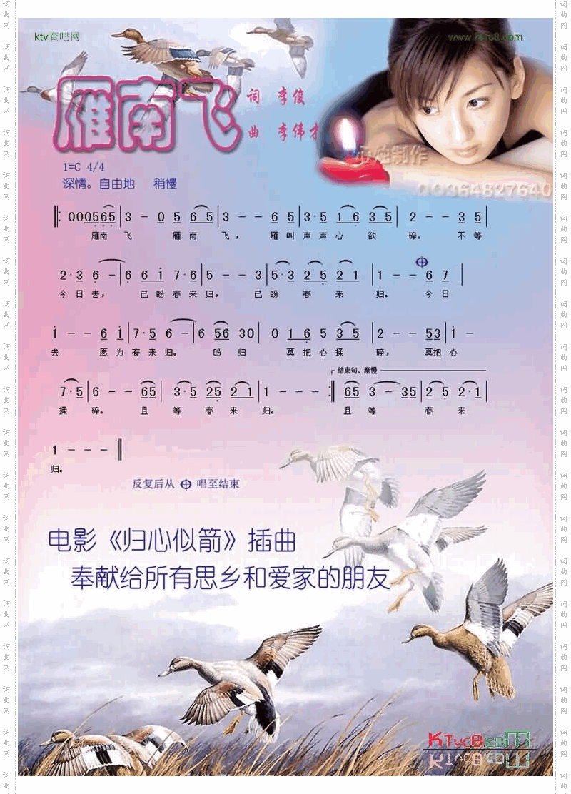 雁南飞