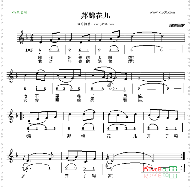 邦锦花儿
