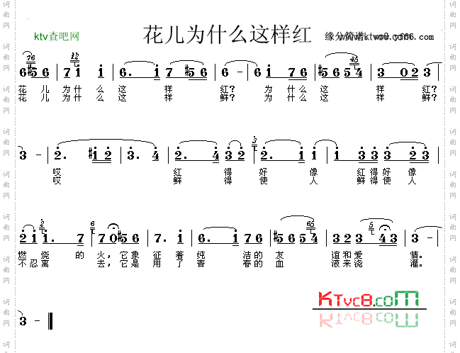 花儿为什么这样红