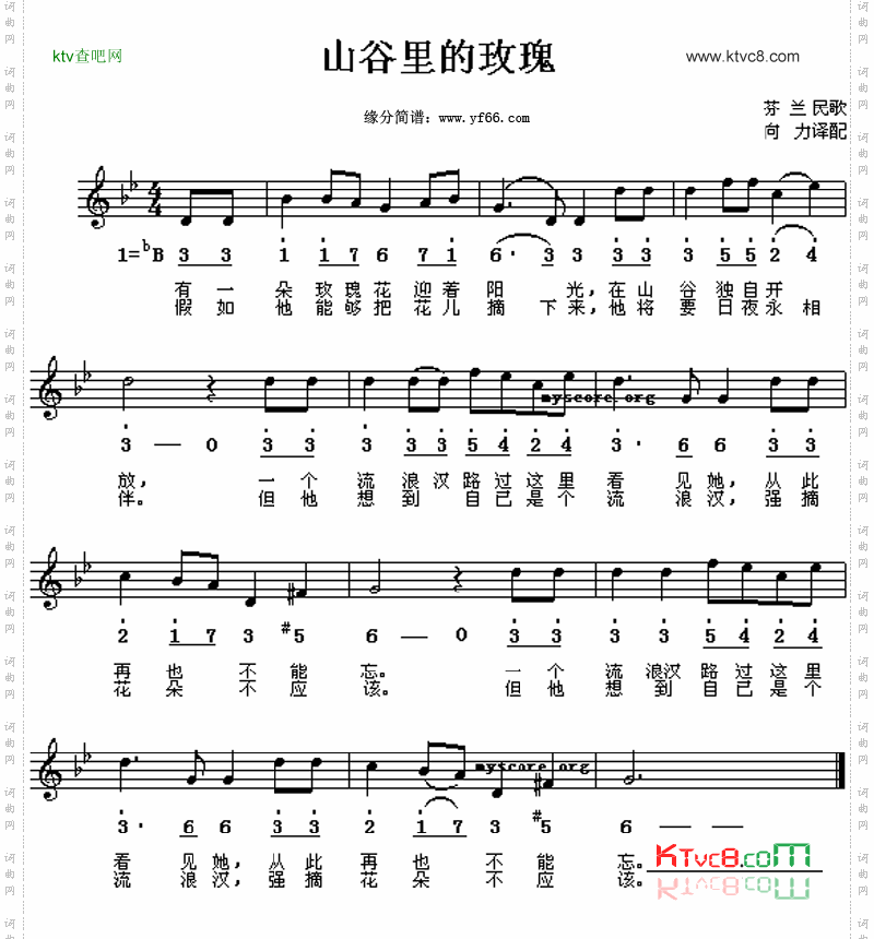 山谷的玫瑰