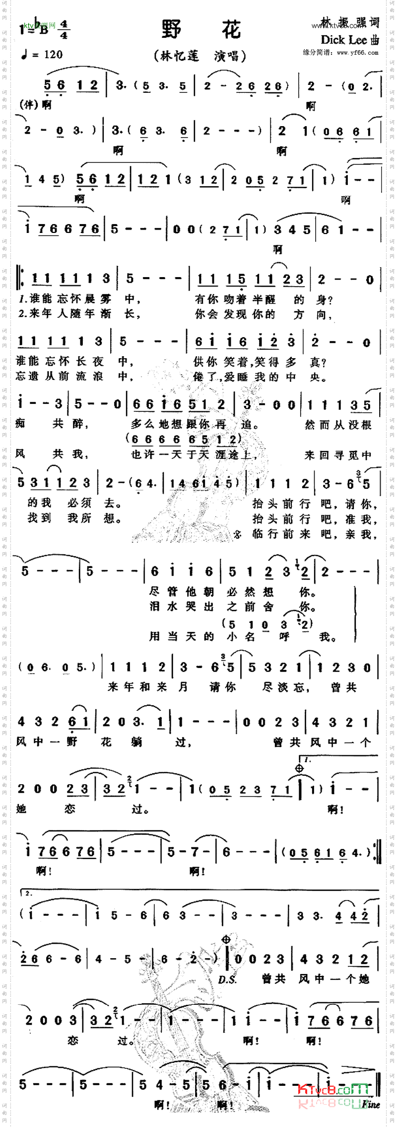 野花