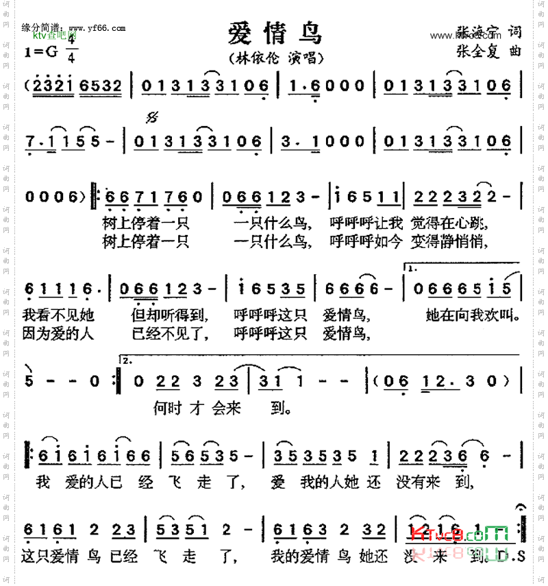 爱情鸟