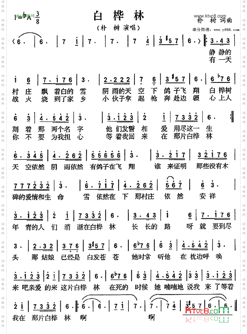 白桦林