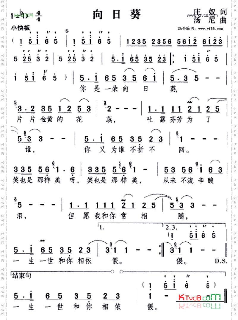向日葵