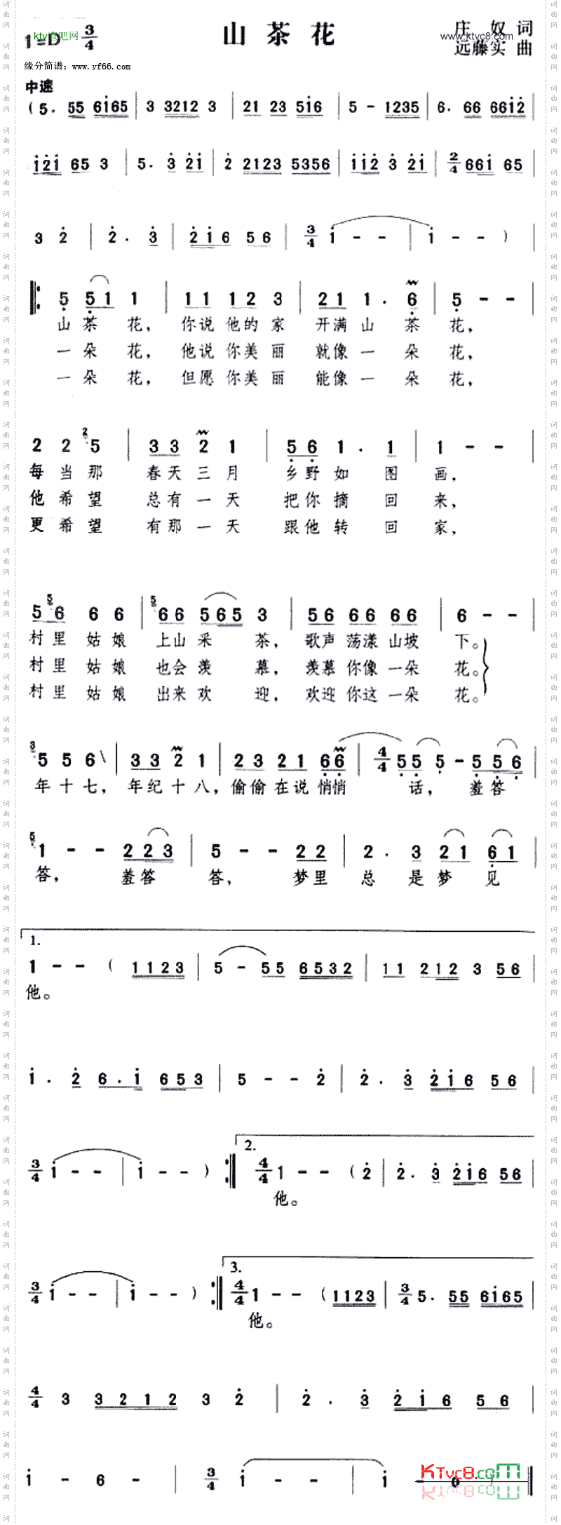 山茶花