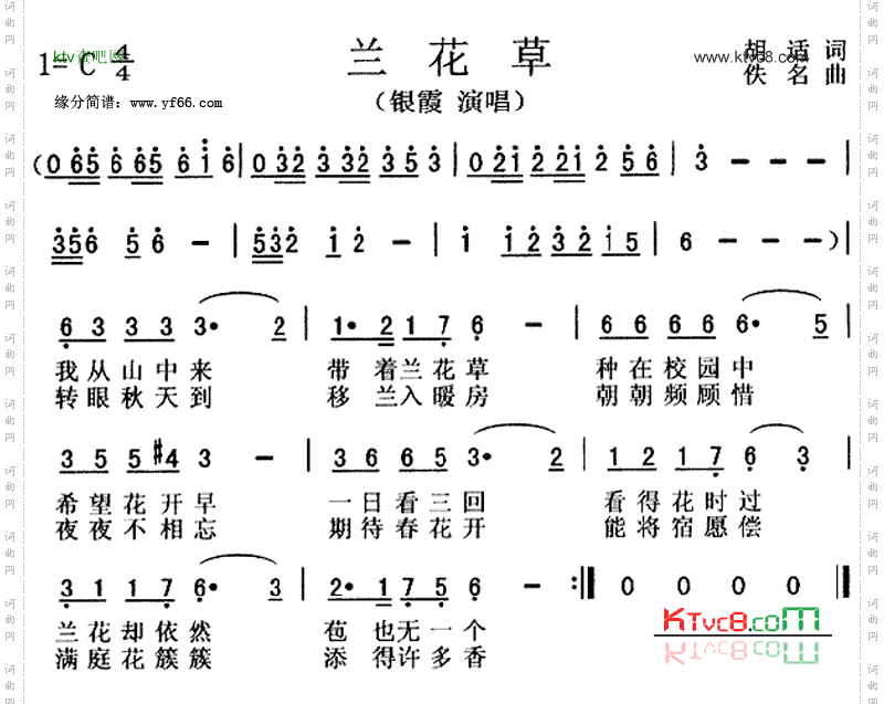兰花草