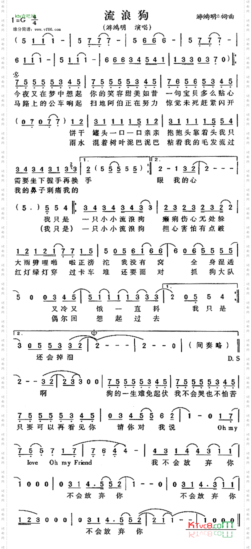 流浪狗