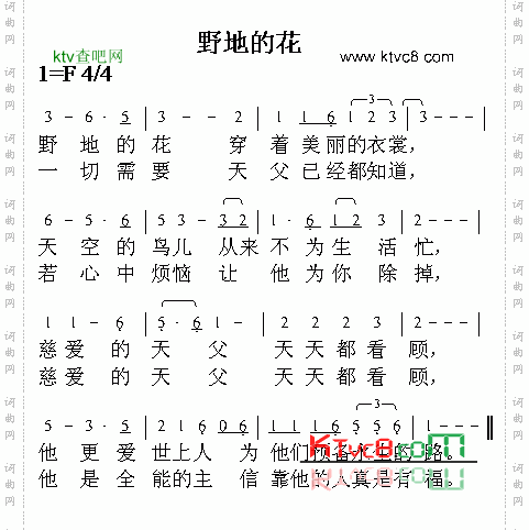 野地的花