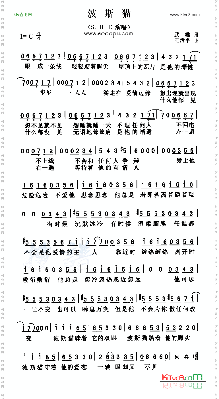 波斯猫