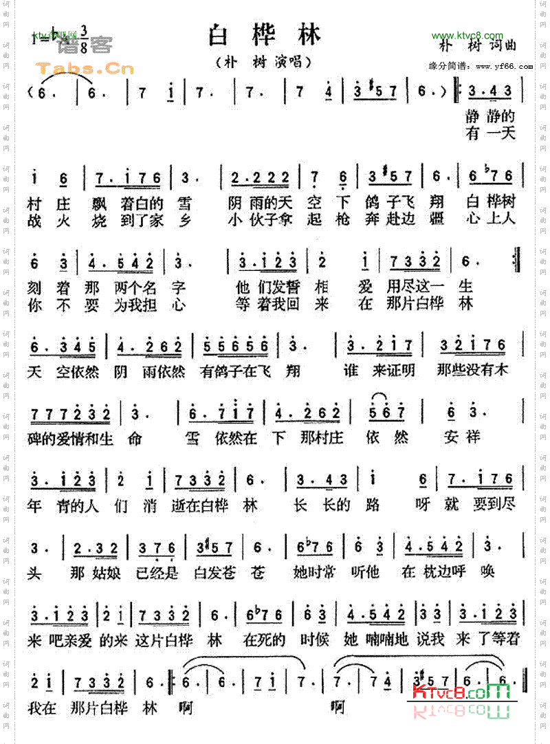 白桦林