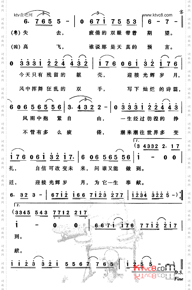 光辉岁月