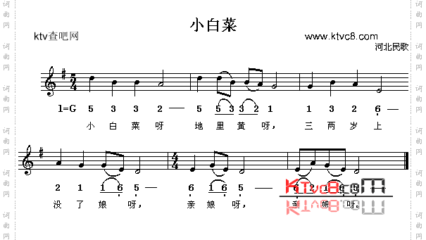 小白菜