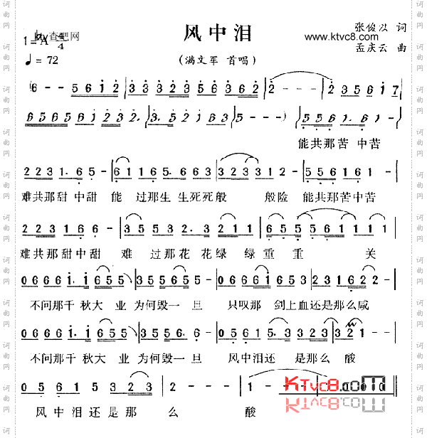 风中泪
