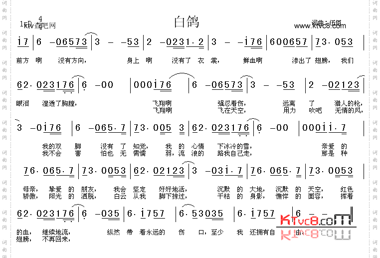白鸽