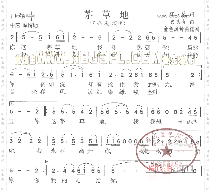 茅草地