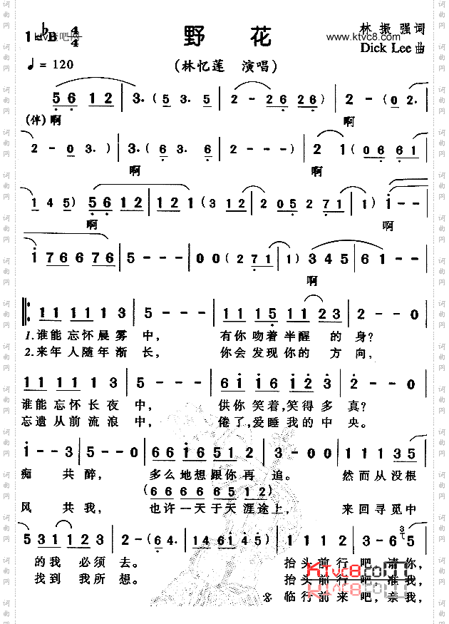 野花粤语