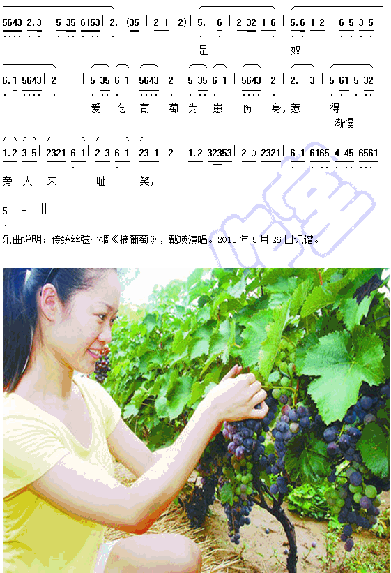 丝弦小调《摘葡萄》曲谱