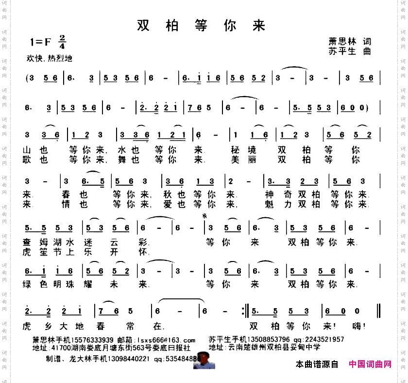 双柏等你来