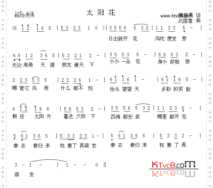 太阳花