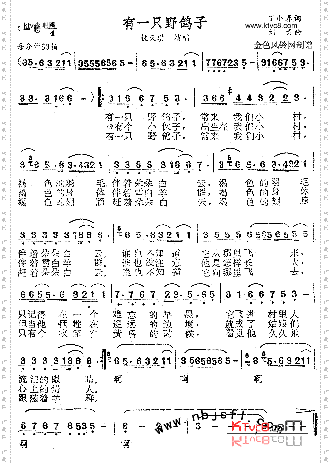 有一只野鸽子