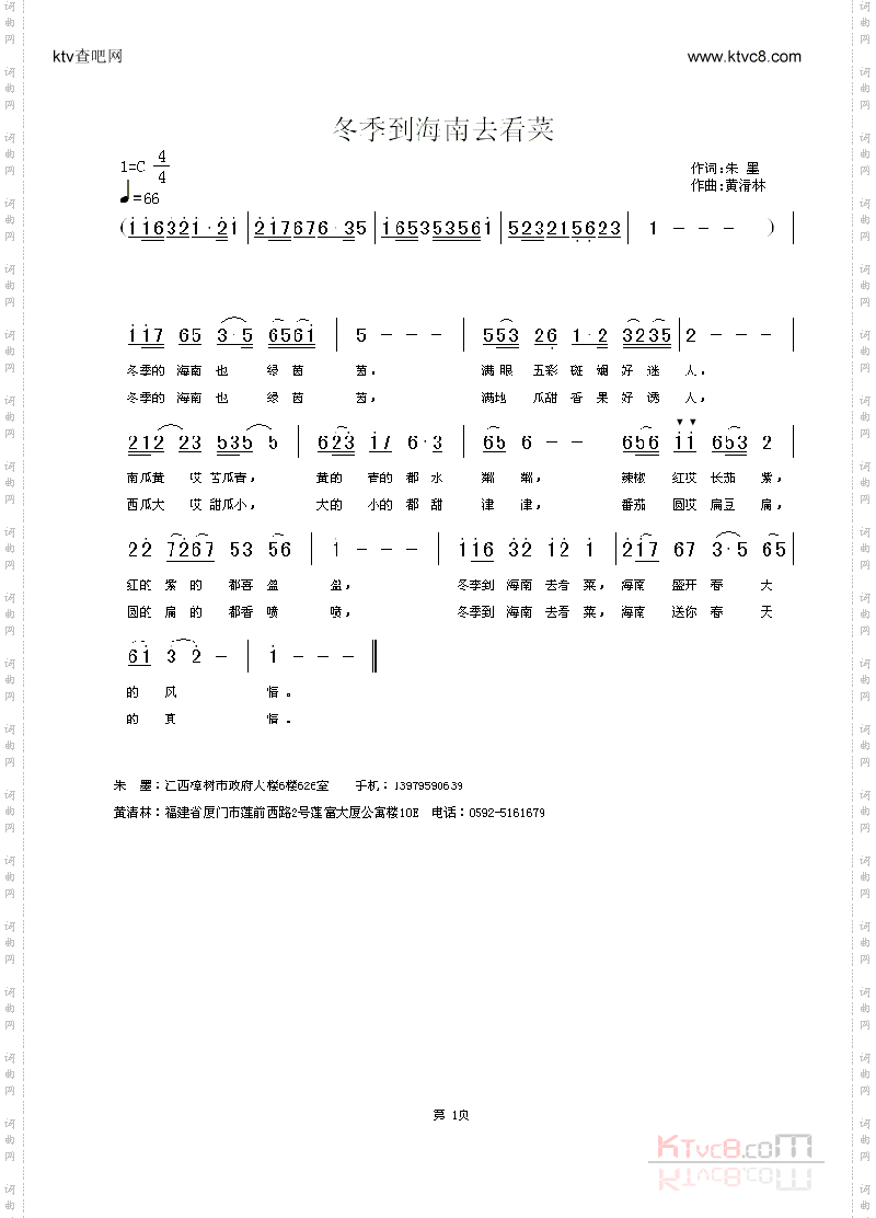 冬季到海南去看菜