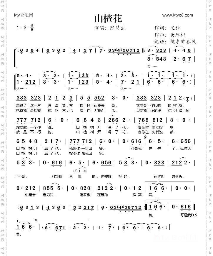 山楂花