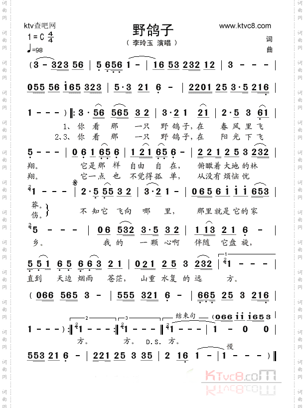 野鸽子