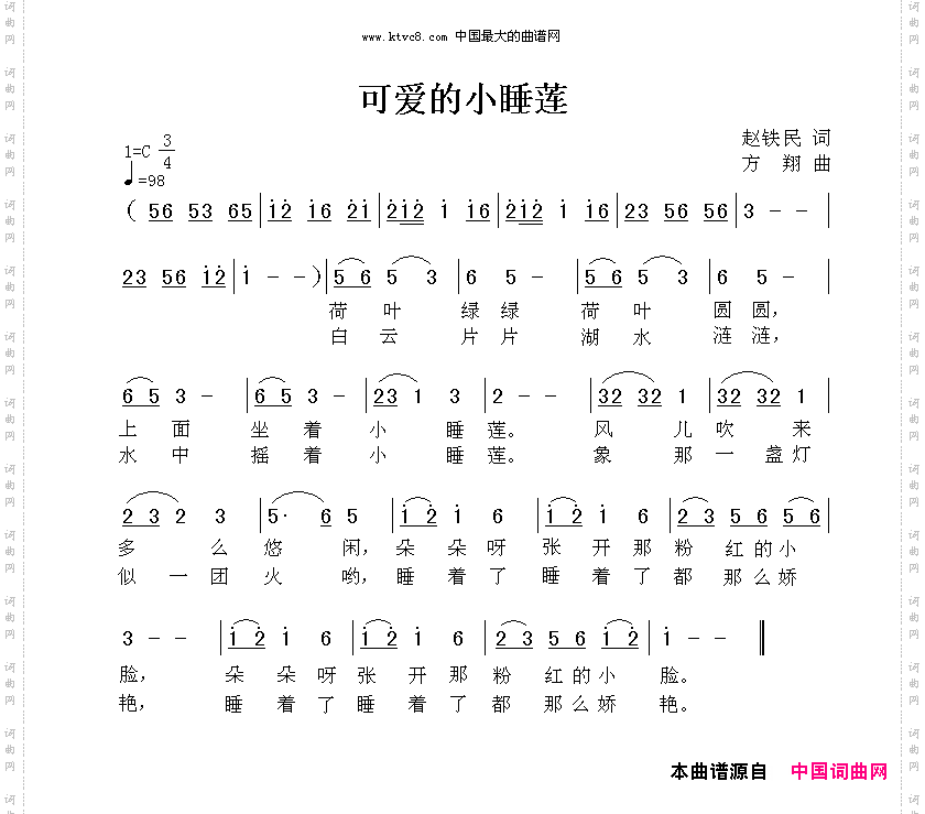可爱的小睡莲