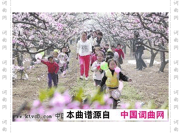 春天袁树雄作词徐富田作曲编曲