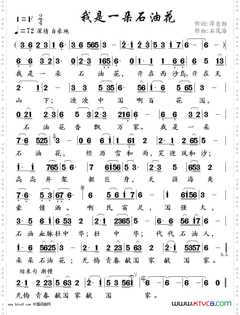 我是一朵石油花