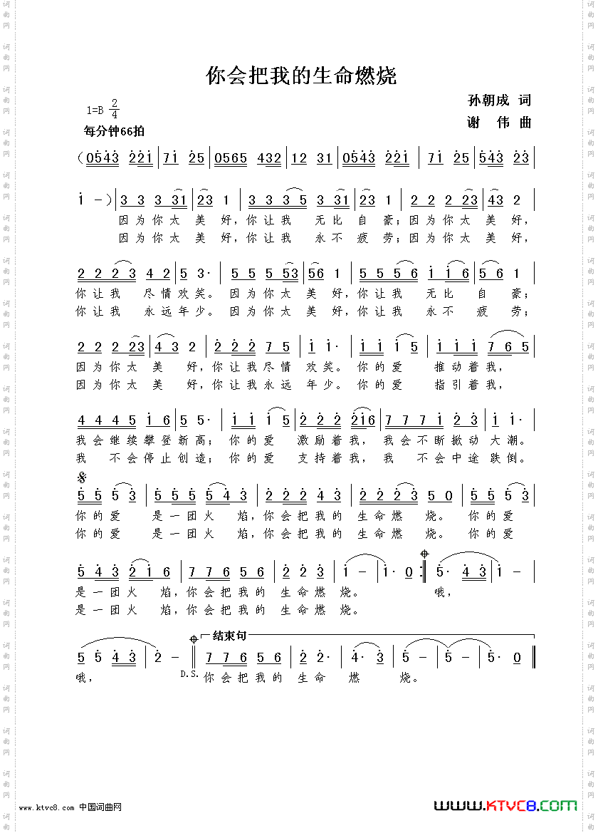 你会把我的生命燃烧孙朝成词谢伟曲