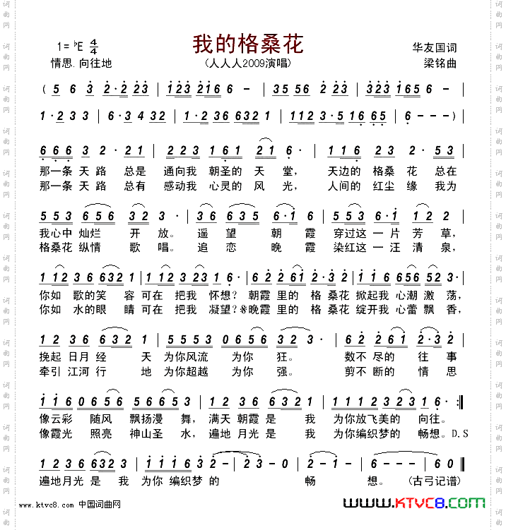 我的格桑花